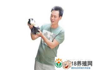 吴健安在山里养竹鼠一个月能挣2万元
_动物养殖(养竹鼠的技巧)