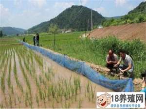 泥鳅养殖技术及多种生态养殖模式
_水产养殖(养泥鳅的技巧)