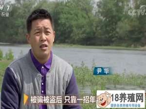 被骗被盗后，银华在广西桂林养过竹鼠，一年仅用一招就卖了3000万
_动物养殖(养竹鼠的技巧)