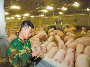 湖南潮南:智能农场饲养“生态猪”增加农民收入