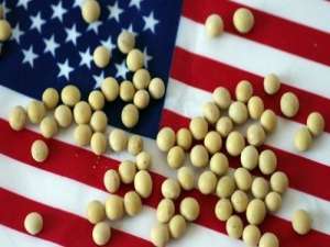 中国可能购买3800万吨美国大豆，大豆价格预计将达到12美元/蒲式耳