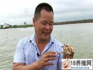 郑秉才养了奶油蟹，24年来一直梦想着养一只金蟹
_水产养殖(养河蟹的技巧)