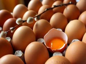 鸡蛋:现货将稳定，逢低买入