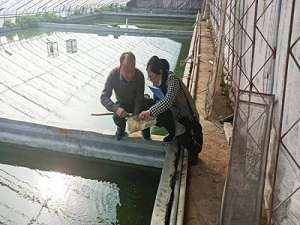 山东青岛莱西:水产养殖该进入旺季了