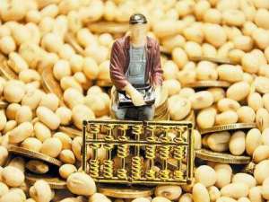 农业农村部回应豆粕涨价:目前国际大豆贸易秩序正常