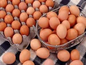 鸡蛋价格是否即将降温？政府部门采取措施稳定物价！