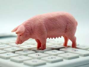 猪肉价格下跌，该机构预测2月份的CPI将同比下降0.5%