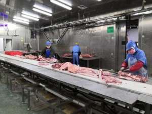 四川:帮助猪肉产品稳定生产，供应崇州，一家每天供应1000多头猪的公司。