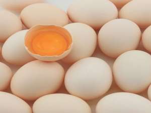 高库存+低补货鸡蛋期货盘“近弱远强”