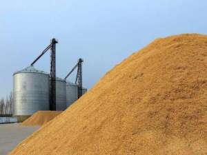 玉米价格再次下跌？三大坏消息“接踵而来”！三月份的时候，粮商的价格好吗？