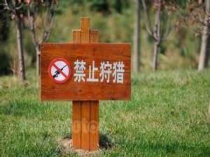 上海第六！松江区已成为野生动物保护区