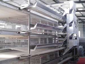 叠蛋鸡笼养殖设备常见故障及排除
