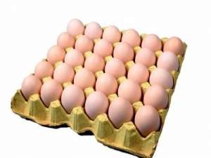 鸡蛋价格到11月底会破4？