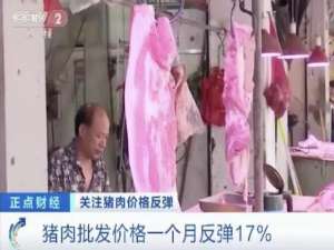 猪肉价格突然反弹！一公斤涨近7元。下一步怎么办？