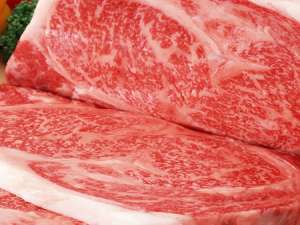 2020年8月20日全国牛肉平均批发价