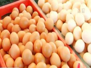 节日降低了蛋鸡的库存，导致鸡蛋价格上涨