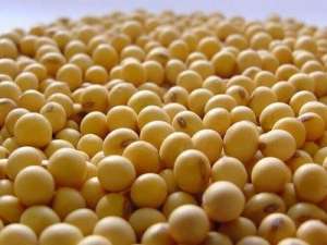 阿根廷大豆价格上涨，离岸价上涨