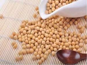尽管受到新冠肺炎疫情和非洲猪瘟的影响，中国的大豆进口需求仍然强劲