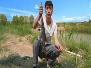 内蒙古包头九原:水产养殖新增军队“勺鲟”养大产业