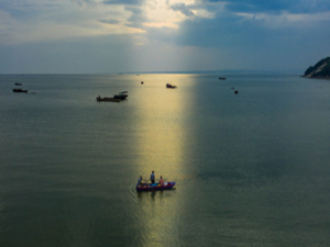 国务院办公室通报:长江流域重点水域禁渔已取得阶段性成果