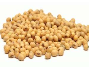 大豆种植进度高于历史平均水平，符合市场预期
