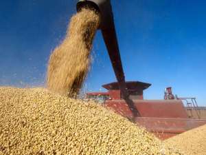 中国加快购买巴西大豆步伐的两个原因分析