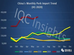 2020年上半年回顾:新冠肺炎疫情下中国快速变化的猪肉进口市场