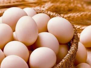 鸡蛋价格仍然很低，淘汰鸡的数量增加有限