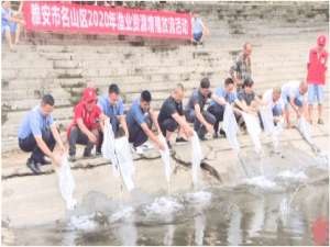 在四川省雅安市名山区，2020年鱼苗增殖放流活动在百丈湖举行
