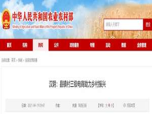 汉阴:县乡三级电子商务助力农村振兴