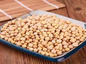 如果中国不购买美国大豆会怎么样？