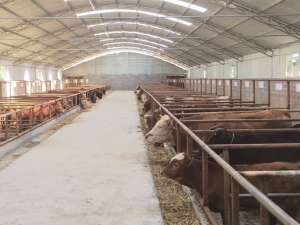 年底前，湖南禁养区的所有畜禽养殖被撤销