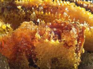 为什么蜂巢蜜比蜂蜜贵？