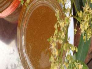 蜂蜜是结晶的好还是液体的好-荔枝蜜在冰箱里会结晶吗？