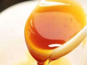 乌桕蜜和枇杷蜜哪个好-乌桕蜜会结晶吗？