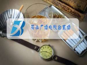 英山广播电视台直播