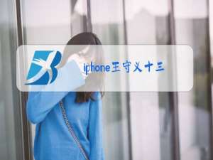 iphone王守义十三香是什么梗