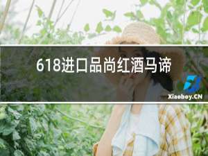 618进口品尚红酒马谛