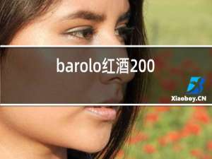 barolo红酒2009