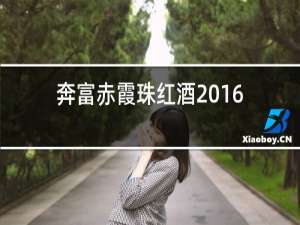 奔富赤霞珠红酒2016