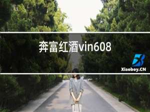 奔富红酒vin608