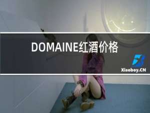 DOMAINE红酒价格