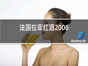 法国拉菲红酒2006