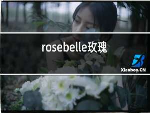 rosebelle玫瑰人生红酒