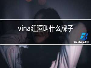 vina红酒叫什么牌子