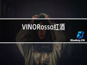 VINORosso红酒12.5%