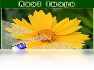 【Neat Image】免费Neat Image软件下载