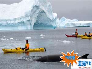南极冰海巡游VR视频下载 143MB 环球旅行类