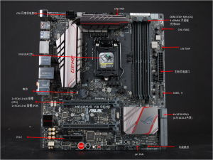 图片 华硕 玩家国度 MAXIMUS VIII GENE