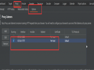 【SRC】小程序抓包巨详细配置，一个Burp就够了，但是可以更优雅！_burp抓包小程序